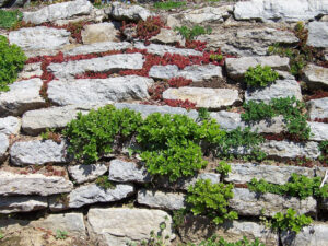 retaining walls